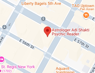 Astrologer Adi Shakti Psychic Reader psychic in New York City