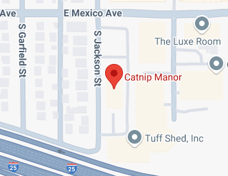 Catnip Manor psychic in denver